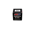 AMSOIL ATV Engine Oil FILTERS SMF109/  EaOM109